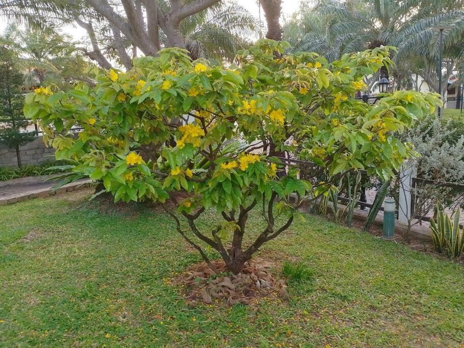 Biet Thu Bien Mui Ne - Villa Muine Domaine - Sea View Phan Thiết Exteriér fotografie